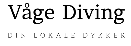 Våge Diving
